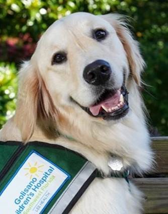 APIC25 Spotlight: Improving HLD Reprocessing Reliability and Reimagining Hand Hygiene